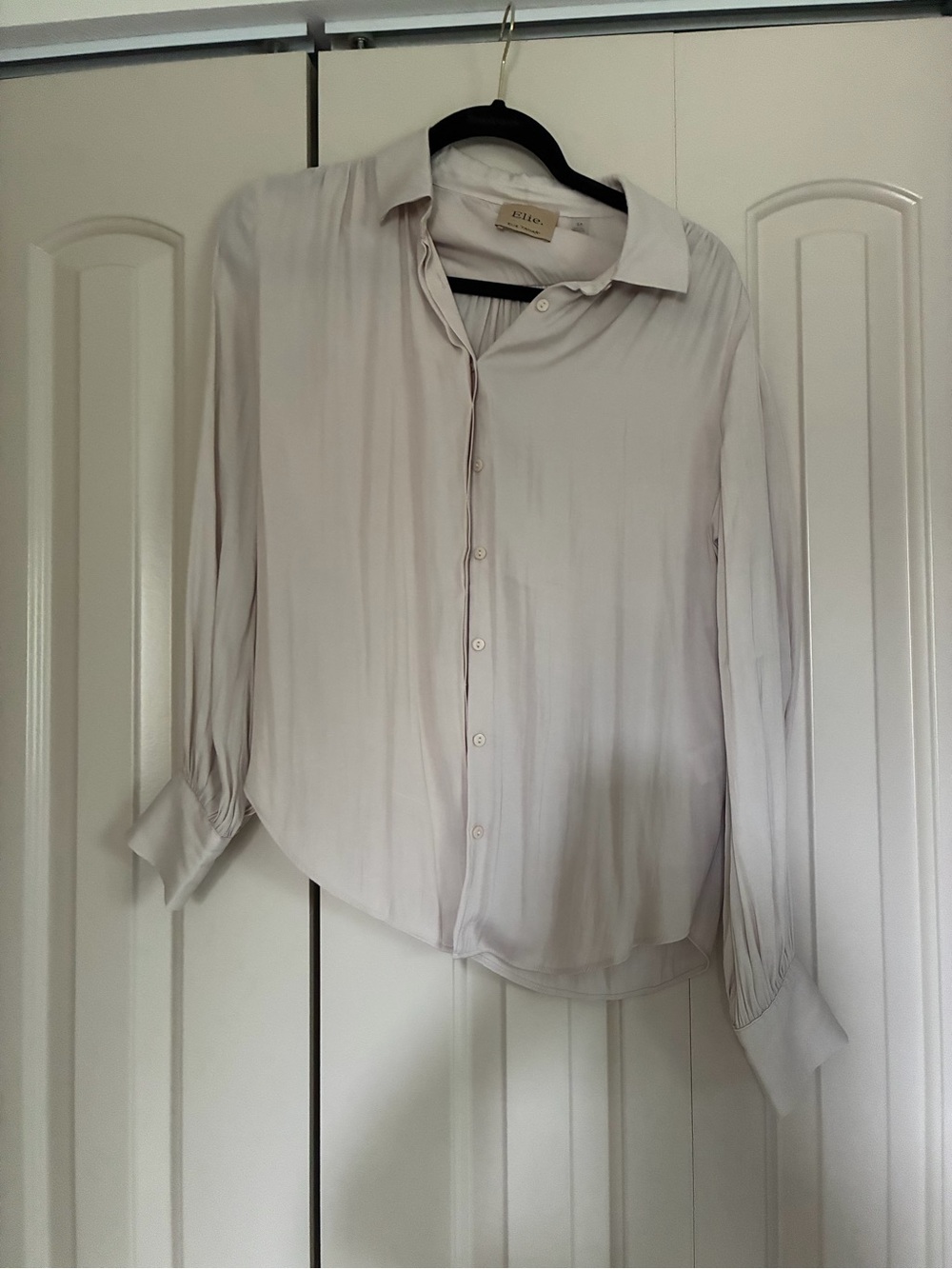 Elie Tahari Soft Pale Beige Silk Button-Down Blouse